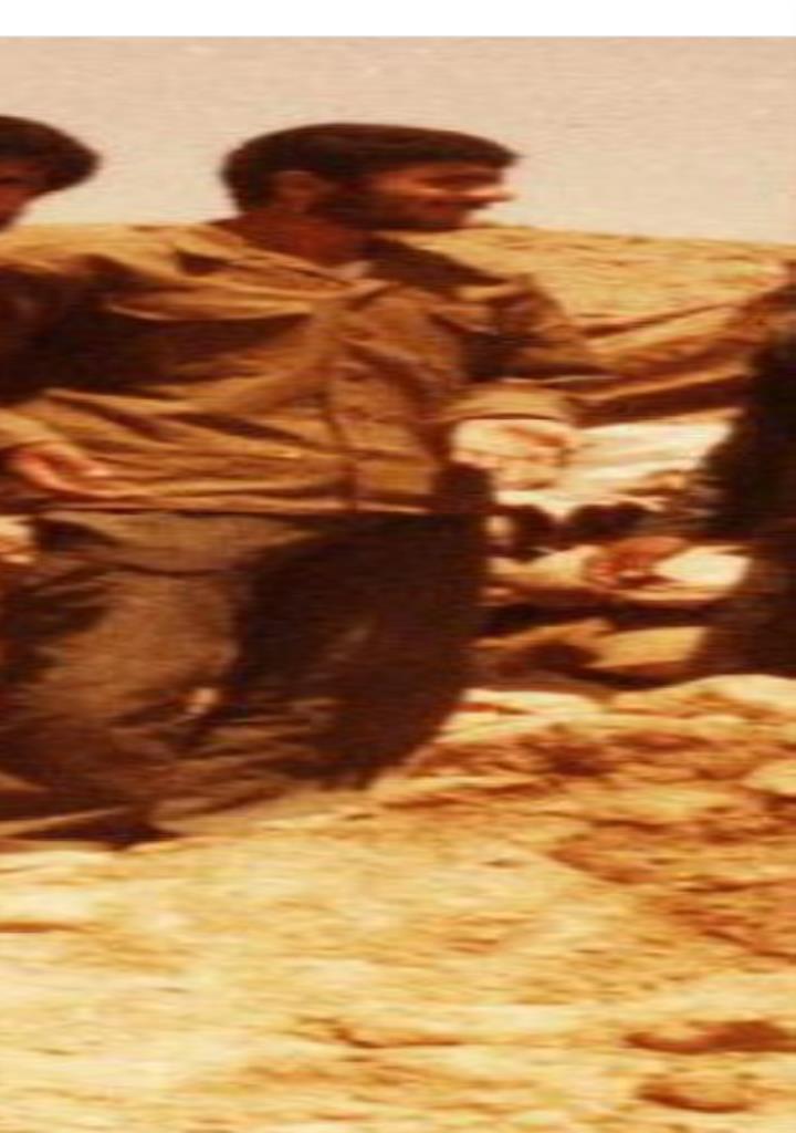 فاقد تصویر